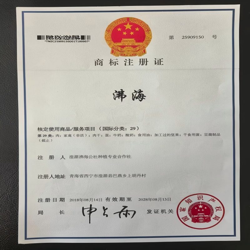 沸海商标29类