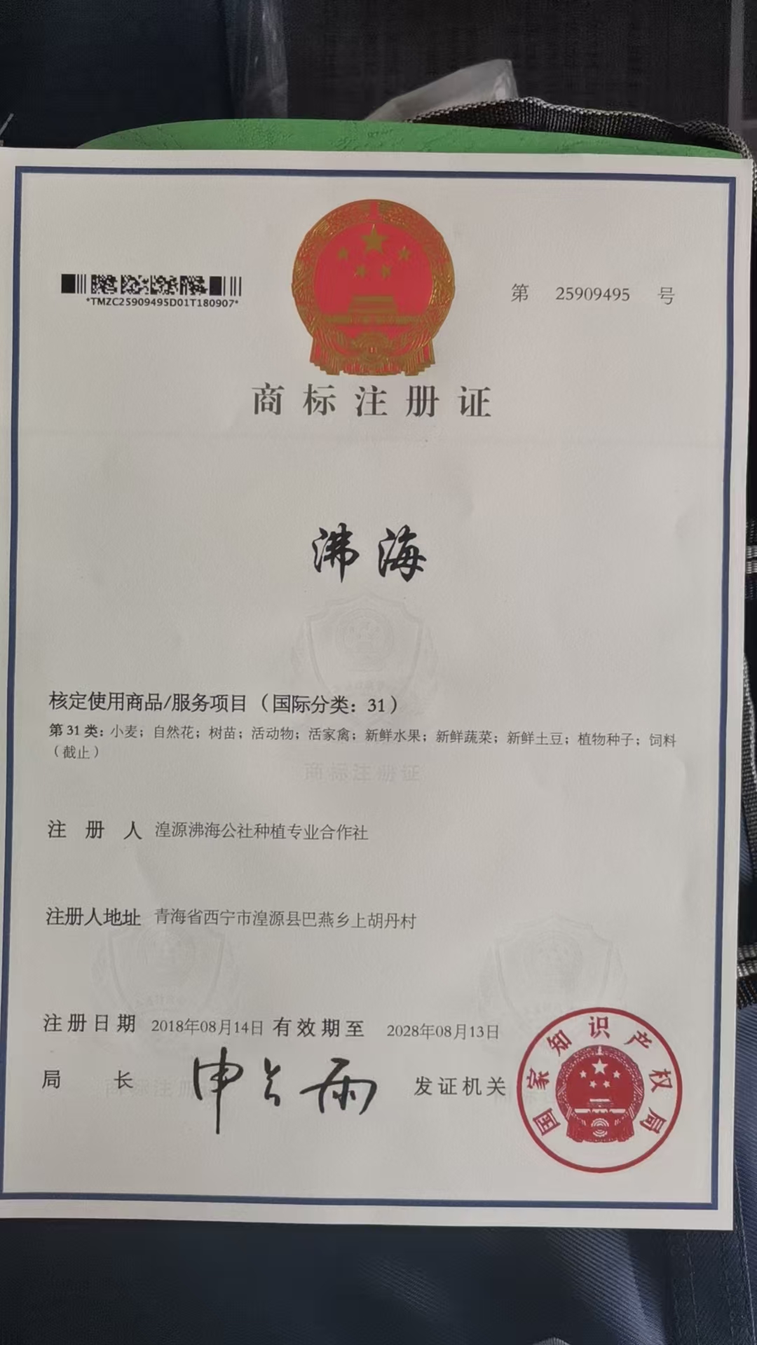 沸海商标31类